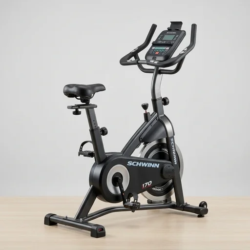 Schwinn 170 Upright Bike view 3