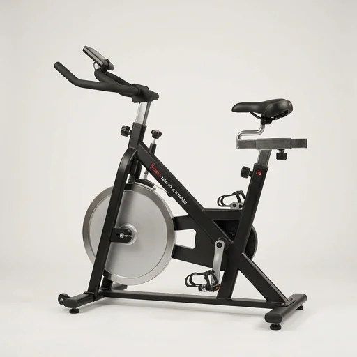 Sunny Health & Fitness Indoor Cycling Bike